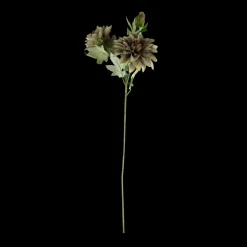 Dahlia m. 3 Blomst (H64cm) Lysegrøn