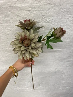 Dahlia m. 3 Blomst (H64cm) Lysegrøn