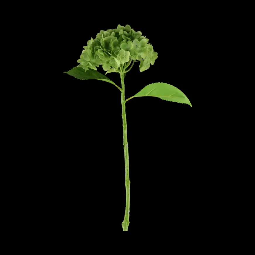 Hortensia Blomst (H55cm) Grøn