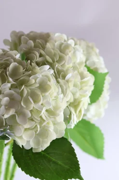 Hortensia Blomst (H55cm) Hvid