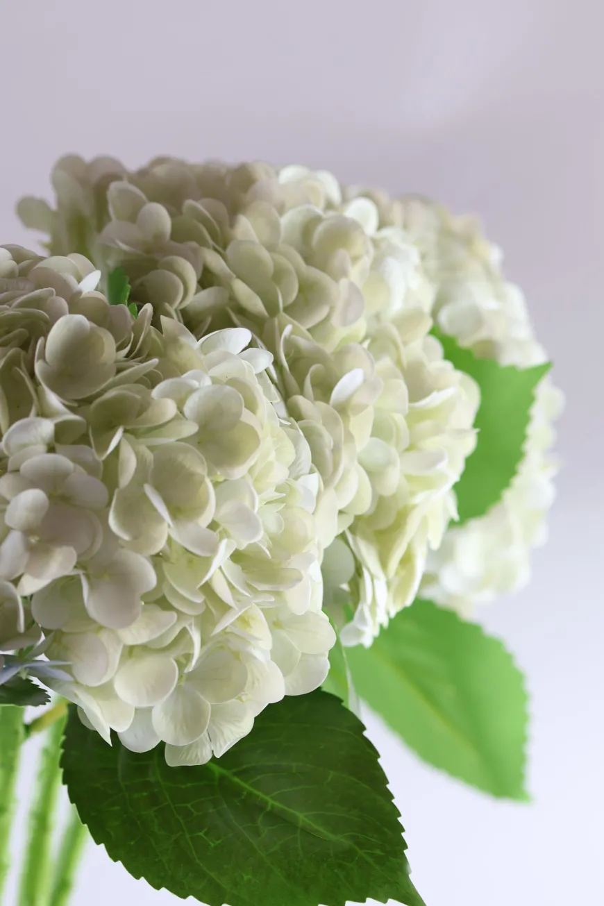 Hortensia Blomst (H55cm) Hvid