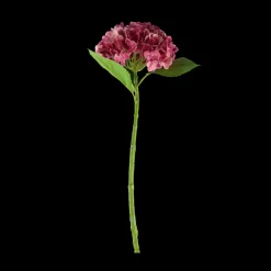 Hortensia Blomst (H55cm) Lyserød