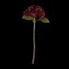 Hortensia Blomst (H55cm) Bordeaux
