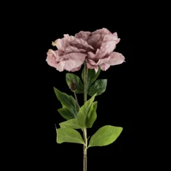 Pæon Blomst (H64cm) Lyse Lilla