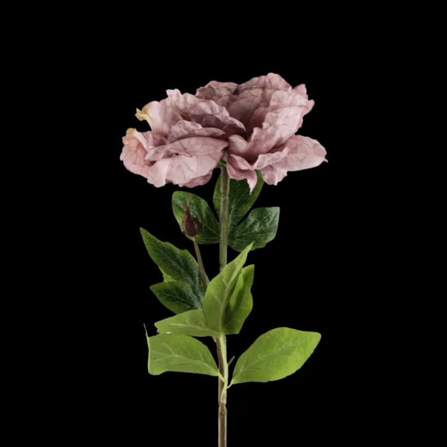 Pæon Blomst (H64cm) Lyse Lilla