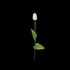 Tulipaner ( 48cm) Hvid